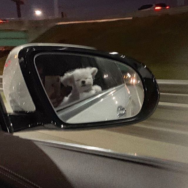 C’est la fin du challenge